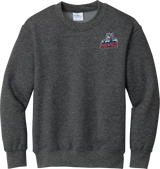 Hartford Jr. Wolfpack Youth Core Fleece Crewneck Sweatshirt