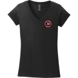 South Pittsburgh Rebellion Softstyle Ladies Fit V-Neck T-Shirt