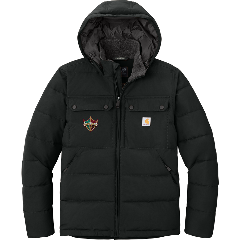 Delaware Ducks Carhartt Montana Insulated Hooded Jacket