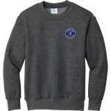 Carolina Thunder Youth Core Fleece Crewneck Sweatshirt